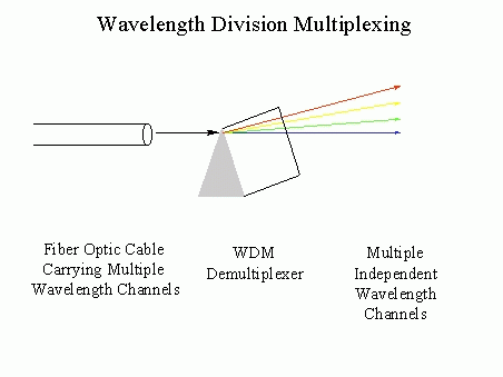 wdm.gif (5363 bytes)